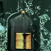 Tom Ford Black Orchid Eau de Parfum – wie riecht der Duft