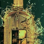 Tom Ford Black Orchid Parfum Duftbeschreibung