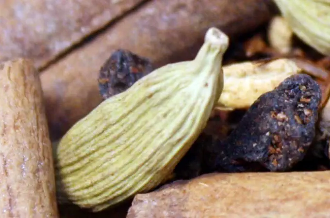 Duft würzig für Männer und Frauen