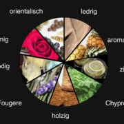 Duftfamilien Grafik