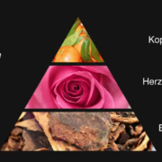 Duftpyramide Parfum Grafik