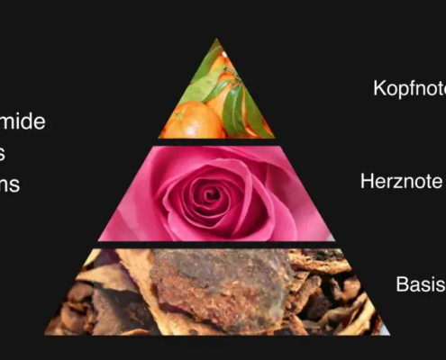 Duftpyramide Parfum Grafik