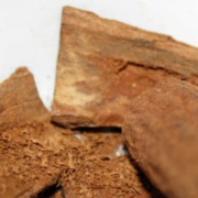 Holzige Düfte mit warmem Charakter