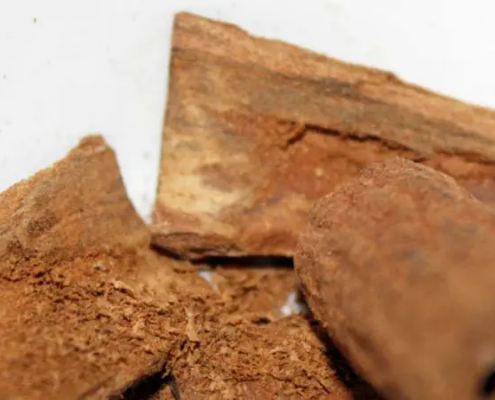 Holzige Düfte mit warmem Charakter