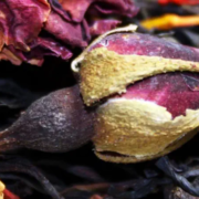 Rosendüfte Rosendüfte für Damen & Herren