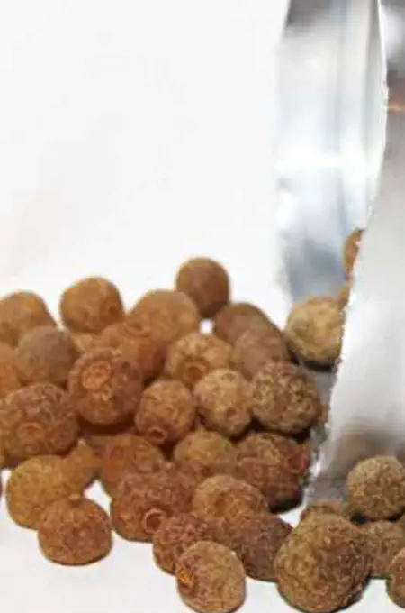 Aromatisches & würziges Parfum finden